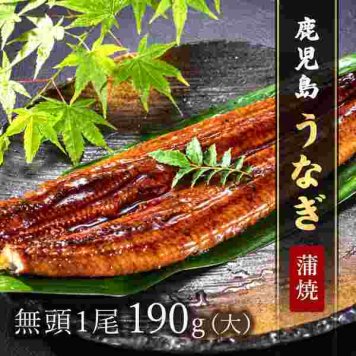 鹿児島県産 うなぎ 蒲焼 特大 190g 1尾 無頭 鰻 ウナギ 国産 蒲焼き 冷凍 食品 グルメ ギフト お取り寄せ 贈答用 高級 父の日 母の日 お中元 お歳暮 土用の丑の日