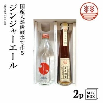 ジンジャーエール 国産天然炭酸水で作ろうセット 甜菜糖【2本箱】 国産 熊本 高知 長崎 無着色 生姜シロップ しょうがシロップ 温活 冷え ポカポカ 生姜 贈答 母の日 父の日 お歳暮 お年賀 ギフト プレゼント 内祝い 出産内祝い 結婚祝い 健康食品・ドリンク【送料無料】