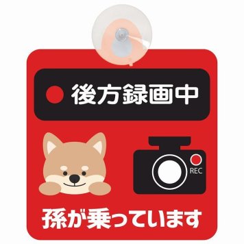 孫が乗っています 後方録画中 いぬ レッド セーフティサイン 吸盤タイプ 収れん火災防止タイプ 安全運転 車内用 煽り運転対策 安全対策 カーサイン イラスト かわいい