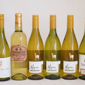 ALLシャルドネチリワイン6本セット(テラスル サンタ・ヘレナ アルパカ ビーニャ・デル・ペドリガル デル・スール シャンモリ・セレクション) 750ml×5本 720ml×1本