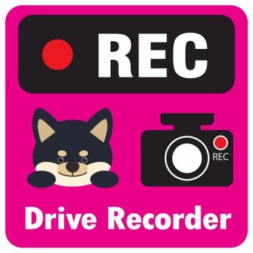 ドラレコ ステッカー シール REC Drive Recorder 黒柴 ピンク 13x13cm 正方形 おしゃれ かわいい ドラレコシール 安全対策 危険運転 煽り運転 前後 アニマル 動物 イラスト付 ドライブレコーダー 録画 カーサイン