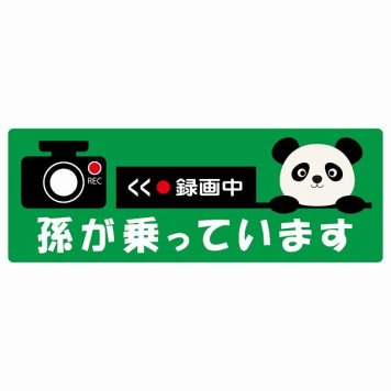 孫が乗っています 録画中 ぱんだ グリーン サインステッカー シール 車 ステッカー 長方形 14x5cm 防水 屋内 屋外 セーフティサイン 安全対策 車用 安全運転 煽り運転対策 安全対策 かわいい イラスト カーサイン