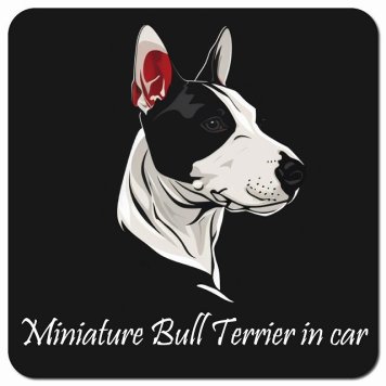 イラスト付 Dog in Car ミニチュアブルテリア Bタイプ カーサイン 車 マグネットステッカー 犬 マグネット 強力 13x13cm 正方形 おしゃれ かわいい ドラレコステッカー 安全対策 危険運転 煽り運転 アニマル 動物 犬種別 屋外 防水 屋内
