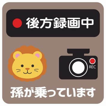 孫が乗っています 後方録画中 らいおん グレーベージュ サインステッカー シール 車 ステッカー 正方形 13x13cm 防水 屋内 屋外 セーフティサイン 安全対策 車用 安全運転 煽り運転対策 安全対策 かわいい イラスト カーサイン