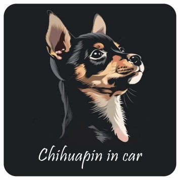 ドッグ カーステッカー イラスト付 Dog in Car チワピン Bタイプ セーフティサイン 犬種別 正方形 13x13cm シール リア あおり運転対策 Dog Sticker 屋外 屋内 防水 かわいい おしゃれ 安全対策 カーサイン