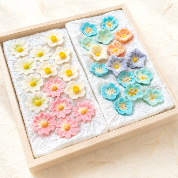 落雁「涼風花」