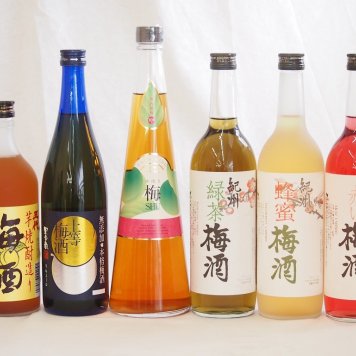 スペシャル梅酒6本セット(芋焼酎仕込五代梅酒(鹿児島) 手作り梅酒(宮崎県) 赤しそ赤い梅酒(和歌山) 芳醇ブランデー仕立チョーヤ梅酒 無添加上等梅酒(鹿児島) 緑茶梅酒(和歌山)) 720ml×6本