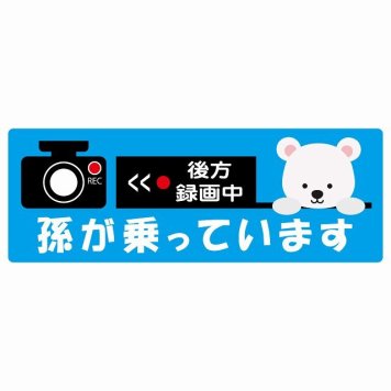 孫が乗っています 後方録画中 しろくま ライトブルー サインステッカー シール 車 ステッカー 長方形 14x5cm 防水 屋内 屋外 セーフティサイン 安全対策 車用 安全運転 煽り運転対策 安全対策 かわいい イラスト カーサイン
