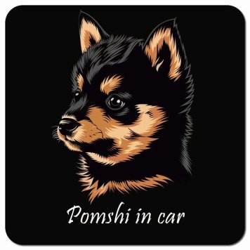 イラスト付 Dog in Car ポメ柴 Bタイプ カーサイン 車 マグネットステッカー 犬 マグネット 強力 13x13cm 正方形 おしゃれ かわいい ドラレコステッカー 安全対策 危険運転 煽り運転 アニマル 動物 犬種別 屋外 防水 屋内
