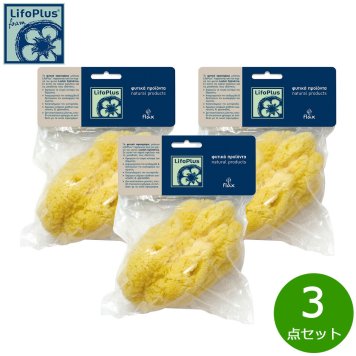LifoPlus ナチュラルシースポンジ レギュラー 3点セット