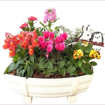 季節の寄せ植え 秋 タル型鉢 白 ギフトにも最適な季節のお花を寄せ植えに【プレゼント ガーデンピック 玄関 ベランダ 送料無料 沖縄・離島を除く】