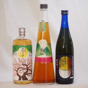 梅酒3本セット(手作り梅酒(宮崎県) 樽熟梅酒天空の月(大分) 無添加上等梅酒(鹿児島)) 720ml×3本