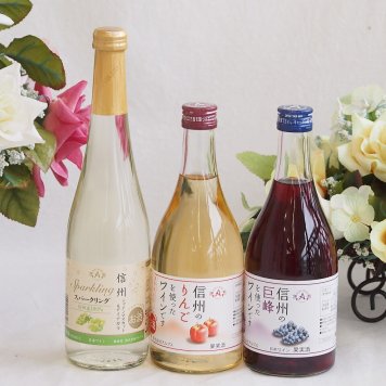 国産果物ワイン3本セット(シャインマスカット＆ナイアガラ 信州のりんご 信州の巨峰) 500ml×3本