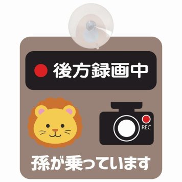 孫が乗っています 後方録画中 らいおん グレーベージュ セーフティサイン 吸盤タイプ 収れん火災防止タイプ 安全運転 車内用 煽り運転対策 安全対策 カーサイン イラスト かわいい
