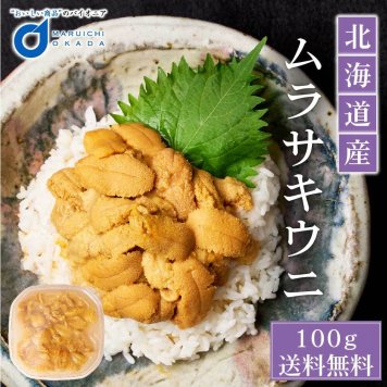 ウニ 塩水  北海道産 ムラサキウニ うに 100g 冷蔵 生ウニ 雲丹 北海道 グルメ 塩水ウニ 寿司 贈り物 お取り寄せ 刺身 母の日 ギフト プレゼント 人気 【冷凍】【生鮮】