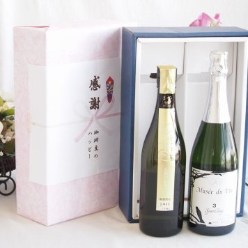 感謝の贈り物ボックス 贅沢な日本酒原酒しぼりたてと国産ワインセット(MdV オアシス3 白スパークリングワイン辛口(長野県)750ml金鯱 しぼっとる純米吟醸原酒(愛知県)720ml