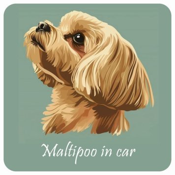 ドッグ カーステッカー イラスト付 Dog in Car マルプー Aタイプ セーフティサイン 犬種別 正方形 13x13cm シール リア あおり運転対策 Dog Sticker 屋外 屋内 防水 かわいい おしゃれ 安全対策 カーサイン
