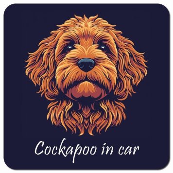 イラスト付 Dog in Car コッカプー Aタイプ カーサイン 車 マグネットステッカー 犬 マグネット 強力 13x13cm 正方形 おしゃれ かわいい ドラレコステッカー 安全対策 危険運転 煽り運転 アニマル 動物 犬種別 屋外 防水 屋内