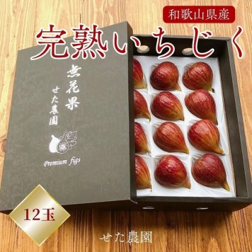 【予約】いちじく【せた農園】完熟 贈答用 L 12玉 1㎏ 和歌山県産 《8/中旬～8/下旬より出荷開始》 北海道・沖縄県は配送未対応 フルーツ 送料無料【一部地域を除く】