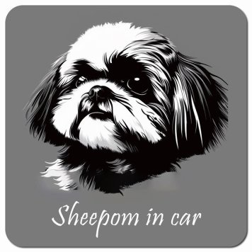 イラスト付 Dog in Car シーポメ Bタイプ カーサイン 車 マグネットステッカー 犬 マグネット 強力 13x13cm 正方形 おしゃれ かわいい ドラレコステッカー 安全対策 危険運転 煽り運転 アニマル 動物 犬種別 屋外 防水 屋内