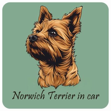 ドッグ カーステッカー イラスト付 Dog in Car ノーリッチテリア Bタイプ セーフティサイン 犬種別 正方形 13x13cm シール リア あおり運転対策 Dog Sticker 屋外 屋内 防水 かわいい おしゃれ 安全対策 カーサイン