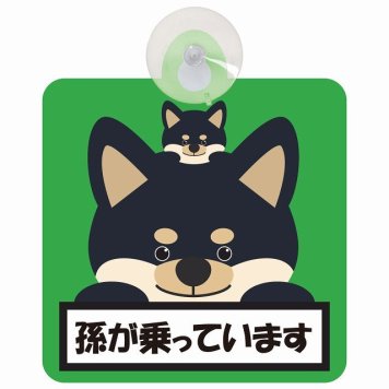 孫が乗っています 祖父母と孫 黒柴 グリーン セーフティサイン 吸盤タイプ 収れん火災防止タイプ 安全運転 車内用 煽り運転対策 安全対策 カーサイン イラスト かわいい