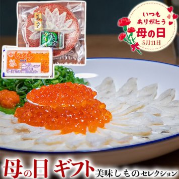 母の日　ギフト　母の日 国産フグ薄造り・北海道産いくら｜まふぐ薄造り（丸皿）20g、北海道産いくら醤油漬け40g｜お届け期間【5月8日～5月11日※日付指定不可】ギフト・プレゼント・贈物　送料無料
