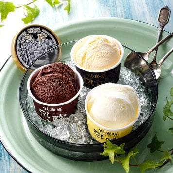 乳蔵 北海道アイスクリーム3種9個  ／アイスクリーム アイスクリーム・シャーベット スイーツ・お菓子 食品 結婚祝い プレゼント ギフト 結婚内祝い 出産祝い 出産内祝い 送料無料 送料無料 取り寄せ グルメ 産地直送 センター スイーツ お菓子 高級 ご飯 食品 飲料 おかず つまみ おやつ
