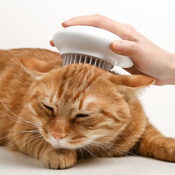 pidan ピダン Pet Brush-Q 猫用ブラシ 【ラッピング対応】 【メッセージカード対応】 