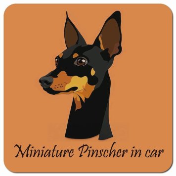 イラスト付 Dog in Car ミニチュアピンシャー Aタイプ カーサイン 車 マグネットステッカー 犬 マグネット 強力 13x13cm 正方形 おしゃれ かわいい ドラレコステッカー 安全対策 危険運転 煽り運転 アニマル 動物 犬種別 屋外 防水 屋内