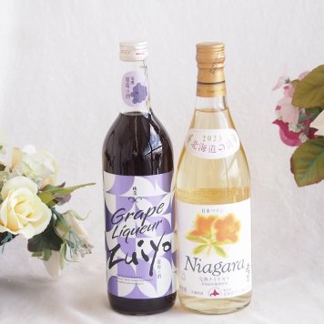 みずみずしくジューシーな風味の葡萄酒と国産ワインセット(北海道の詩 完熟ナイヤガラ白ワイン 甘口(北海道)720ml瑞鷹葡萄の酒10度(熊本県)720ml