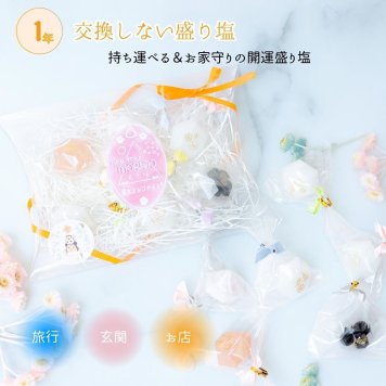 【魔除け・開運】持ち運べるダイヤ盛り塩ギフト｜開店祝い・新築祝いに最適（6個セット）