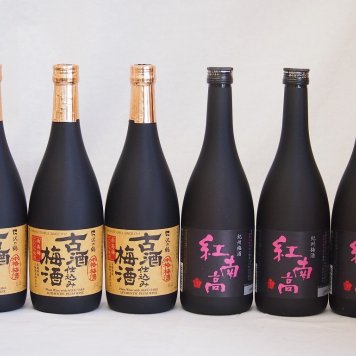 梅酒6本セット(古酒仕込み梅酒 紅南高梅酒20度(和歌山)) 720ml×6本