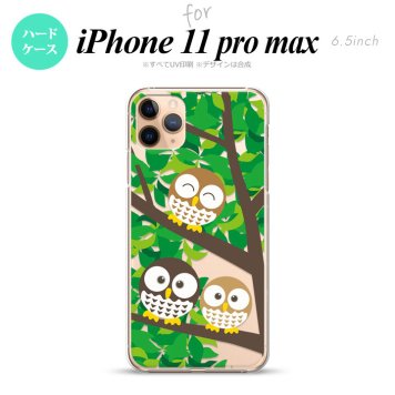 iPhone11ProMax iPhone11pro max スマホケース ハードケース フクロウ C 緑 メンズ レディース nk-i11pm-1094