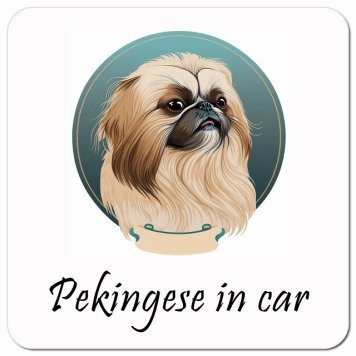 イラスト付 Dog in Car ペキニーズ Aタイプ カーサイン 車 マグネットステッカー 犬 マグネット 強力 13x13cm 正方形 おしゃれ かわいい ドラレコステッカー 安全対策 危険運転 煽り運転 アニマル 動物 犬種別 屋外 防水 屋内