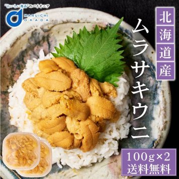 ウニ 塩水  北海道産 ムラサキウニ うに 100g 2個セット 冷蔵 生ウニ 雲丹 北海道 グルメ 塩水ウニ 寿司 贈り物 お取り寄せ 刺身 母の日 ギフト プレゼント 人気 【冷凍】【生鮮】