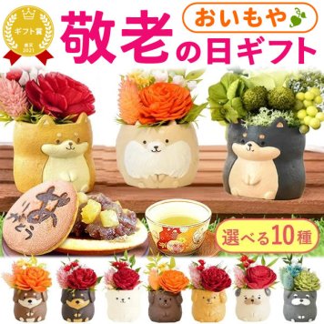 【早割 9/14 16時まで】 敬老の日 すぐ贈れるギフト 即日発送 誕生日 プレゼント ギフト 退職祝い 卒業祝い 花とお菓子 花 プリザーブドフラワー 犬 フラワーアレンジメント かわいい おしゃれ ペット バラ 薔薇 一輪 アニマル 動物 ミニ 置き物 送料無料 スイーツ お菓子 和菓子 ギフトセット もらって嬉しい センスがいい おしゃれ  3000円 40代 50代 60代 70代