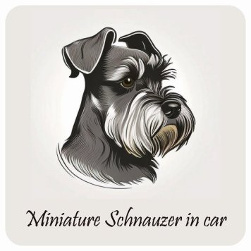 ドッグ カーステッカー イラスト付 Dog in Car ミニチュアシュナウザー B タイプ セーフティサイン 犬種別 正方形 13x13cm シール リア あおり運転対策 Dog Sticker 屋外 屋内 防水 かわいい おしゃれ 安全対策 カーサイン