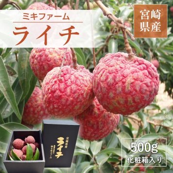 ライチ【ミキファーム】国産 生ライチ 500g サイズ色々 贈答用 御中元 宮崎県高鍋町 《7/上旬～7/下旬の出荷》フルーツ 送料無料【一部地域を除く】