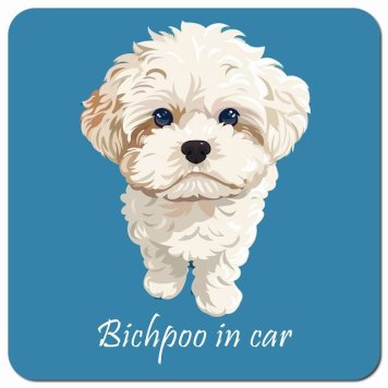 イラスト付 Dog in Car ビションプー Aタイプ カーサイン 車 マグネットステッカー 犬 マグネット 強力 13x13cm 正方形 おしゃれ かわいい ドラレコステッカー 安全対策 危険運転 煽り運転 アニマル 動物 犬種別 屋外 防水 屋内