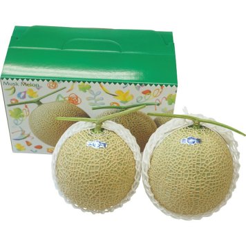マスクメロン（２玉）