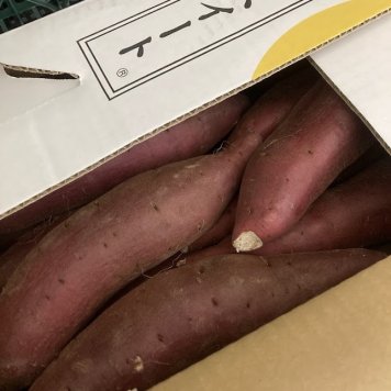 シルクスイート 〈千葉.茨城〉 5kg  さつまいも