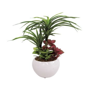 【送料無料・包装無料・のし無料】SC触媒加工 トロピカル寄せ植えポットユッカ(フェイクグリーン) FG1001(A5) ギフト 敬老の日 入学祝い 卒業祝い 就職祝い 結婚祝い 誕生日 出産祝い 引越祝い 香典返し 新盆 初盆 御礼 お中元 内祝い 快気祝い ご挨拶 志 法事