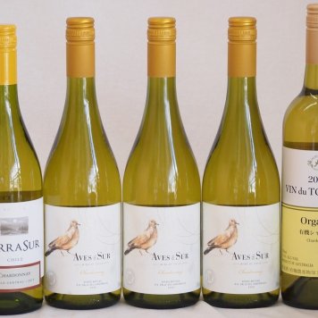 ALLシャルドネチリワイン5本セット(テラスル ビーニャ・デル・ペドリガル デル・スール ヴァン・ドゥ・ツーリズム(有機シャルドネ)) 750ml×5本