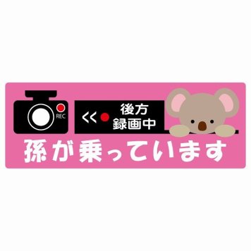 孫が乗っています 後方録画中 こあら ピンク サインステッカー シール 車 ステッカー 長方形 14x5cm 防水 屋内 屋外 セーフティサイン 安全対策 車用 安全運転 煽り運転対策 安全対策 かわいい イラスト カーサイン