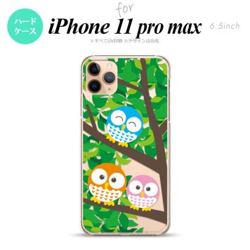 iPhone11ProMax iPhone11pro max スマホケース ハードケース フクロウ B 緑 メンズ レディース nk-i11pm-1093