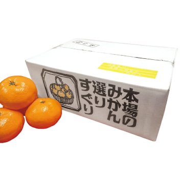 送料無料 お歳暮 愛媛産真穴みかん  ※11月21日?11月30日迄に出荷 北海道・沖縄・離島は配達不可 全国送料無料御中元ギフト早割お中元2026御中元御見舞お見舞いお取り寄せグルメスイーツ