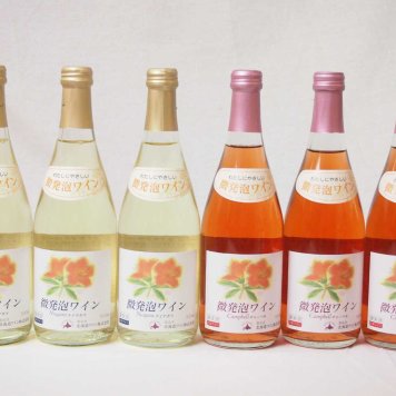 ミックス国産微発砲ワイン6本セット ナイヤガラNiagara3本 キャンベルCampbell3本 やや甘口(北海道)500ml×6本