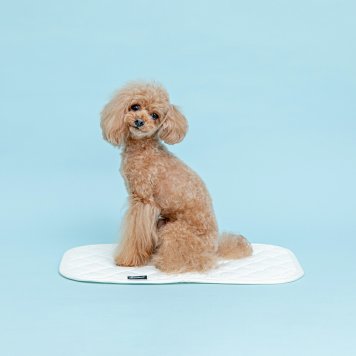 ハッピーデイズ HappyDays ベッドにも使える消臭マット S 犬 猫 消臭 抗菌 国産 ブランケット コットン100% 洗濯 丸洗いOK