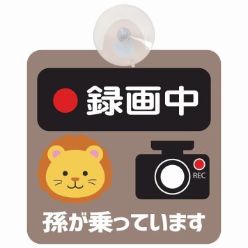 孫が乗っています 録画中 らいおん グレーベージュ セーフティサイン 吸盤タイプ 収れん火災防止タイプ 安全運転 車内用 煽り運転対策 安全対策 カーサイン イラスト かわいい
